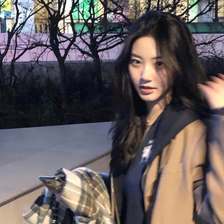 花儿与少年·好友记
